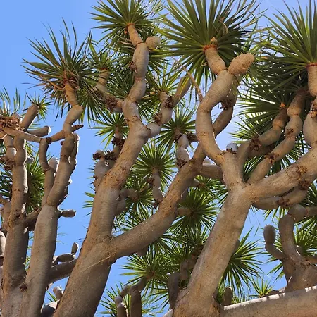 Great Views & Heated Pool - El Perenquen 2