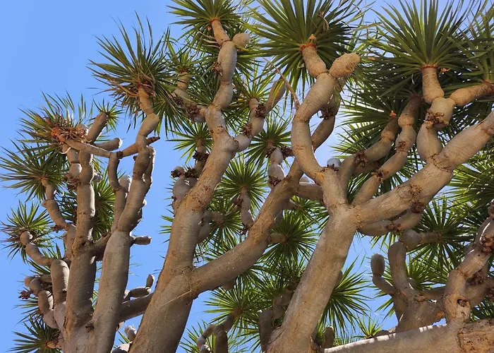 Great Views & Heated Pool - El Perenquen 2